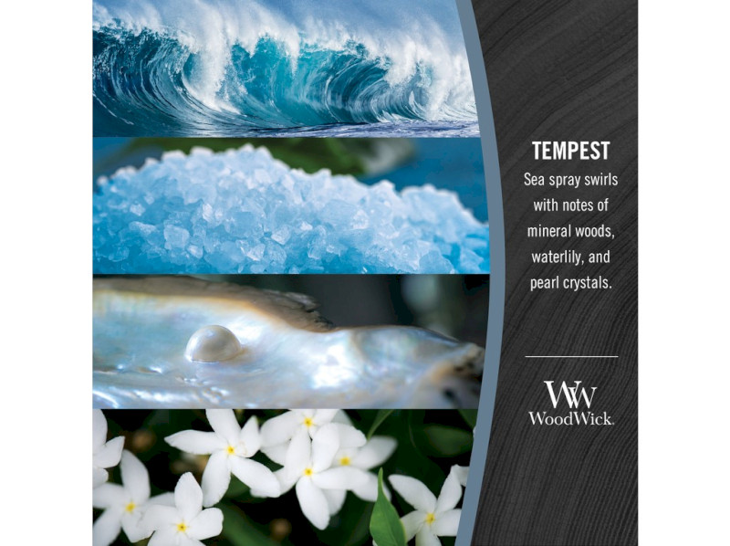 41823-tempest_ - kopie